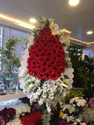 BYK DUVAK KIRMIZI MODEL